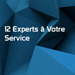 12 Experts à votre service